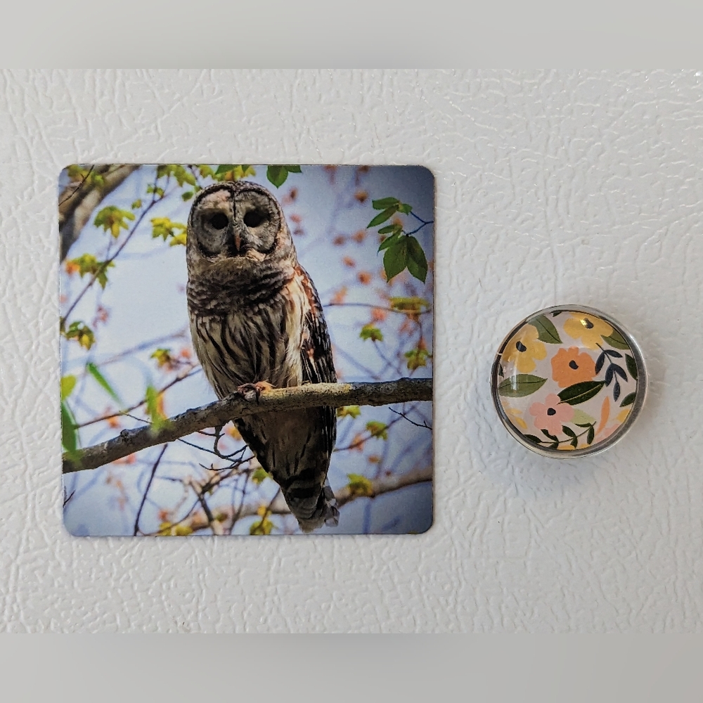 Barred Owl Magnet